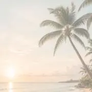 ADOORの画像