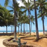 MGMの画像