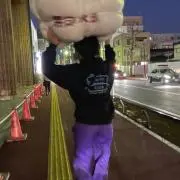 たいが