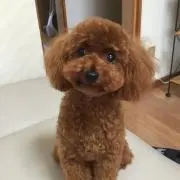 ふく