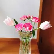 マイマイ