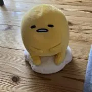 ちゃみの画像