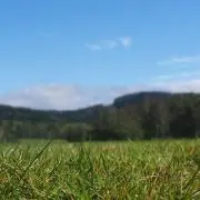 chaの画像