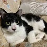 Yuuの画像