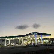 アオの画像