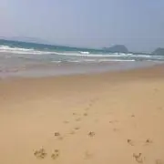 しーの画像