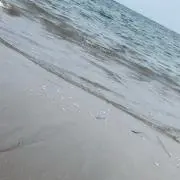 まりん