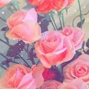 b a o s h o p ※プロフ必読