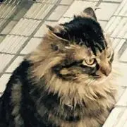 まゆまゆ