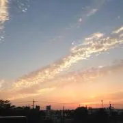 きき