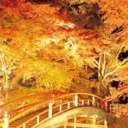 tmag369の画像