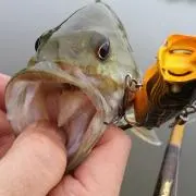 まなはる