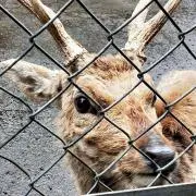 なぁの画像