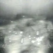 ちゃの画像