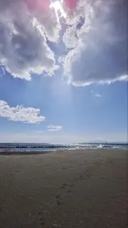 和田悠誠の画像
