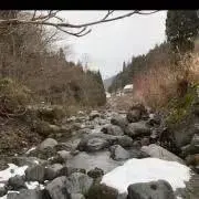 tの画像