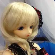 和夜両義
