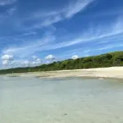 raraの画像
