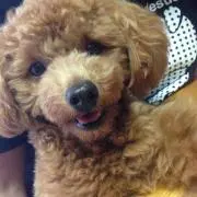 双子ママ❤︎500円以下お値下げ不可の画像