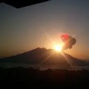 ジョーモの画像