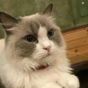 フフルン★プロフご一読ください★の画像