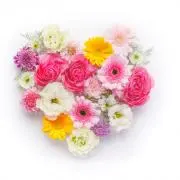 ♡すみれ♡の画像