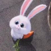 うさちゃんの画像