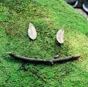 Keeの画像