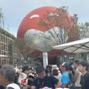 ホタルの画像