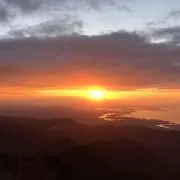 さばの画像
