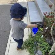 たーちの画像