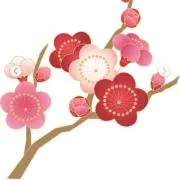 ⭐︎ume⭐︎の画像