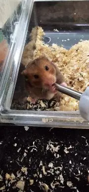 ひろ