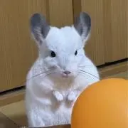人生断捨離の画像