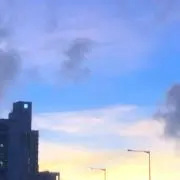しおの画像