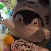 すしの画像