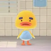 にょ【まとめ割引あり！！】の画像