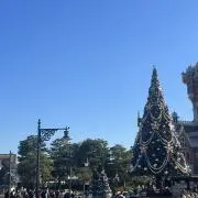 みみの画像