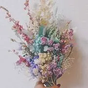 パピコの画像