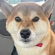 ぽち☆プロフお読み下さいm(__)mの画像