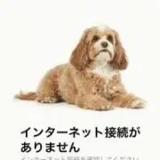 しーくん。。の画像