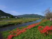 Rの画像