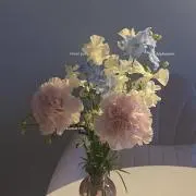 ｓ※プロフィールご覧くださいの画像