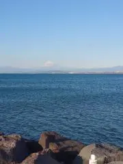Araiの画像
