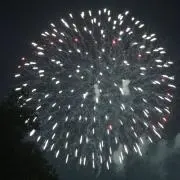 たまごの画像