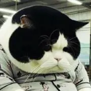 國●愛