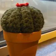 はくんの画像