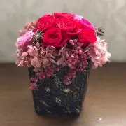 Anelaの画像