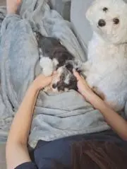 みっきーの画像