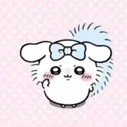 ぷりんの画像